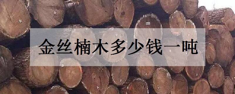 香豌豆花语是什么 都有哪些寓意