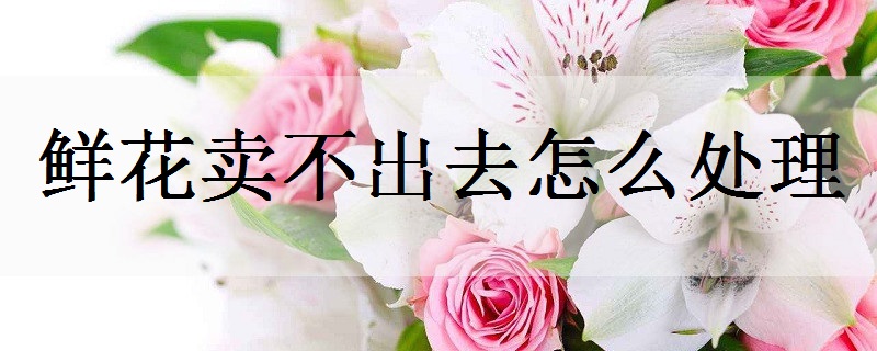 送男朋友什么鲜花好 哪些花更有意义